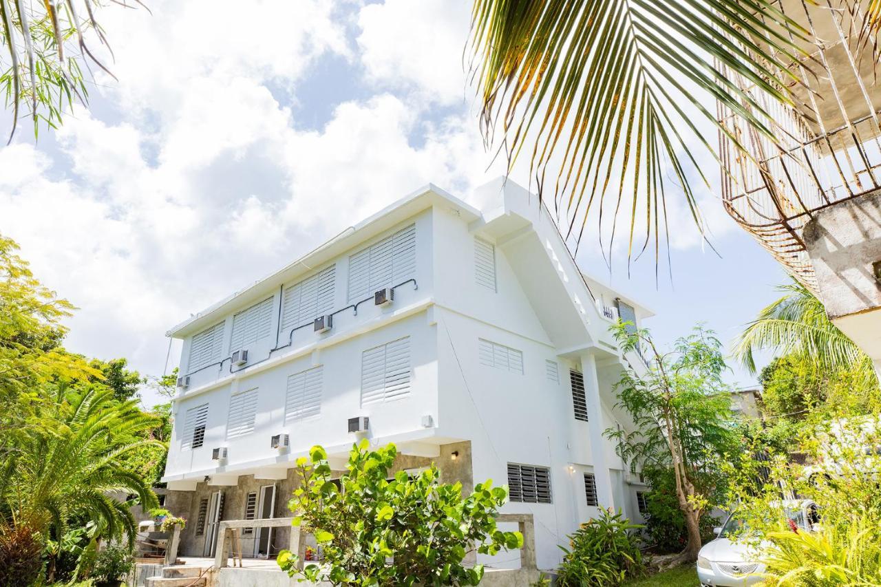 Vieques Tropical Guest House 외부 사진